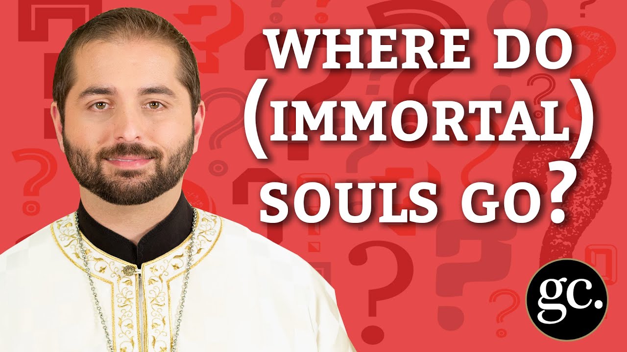 Where does the soul go? | Ask A Priest