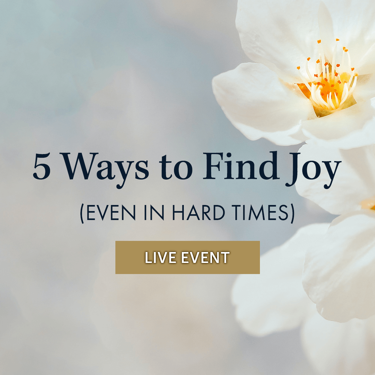 5 Ways to Find Joy (Even in Hard Times)
